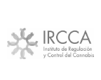 Presentacion-sin-titulo-10