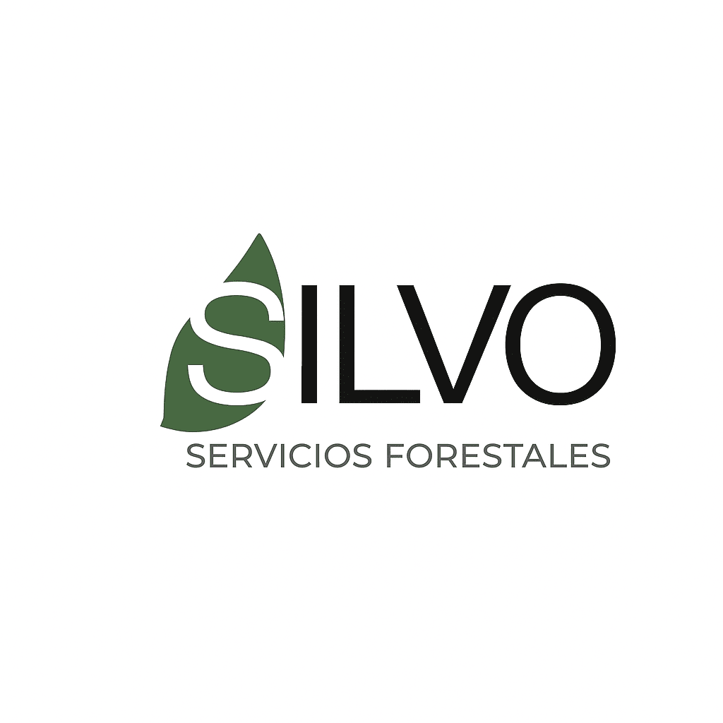 Silvo